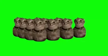 Cat Bowling Green Screen Meme Video