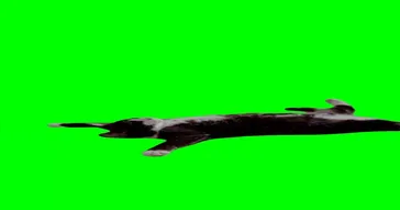 Cat Staring Down A Cat Green Screen Meme Download | Video & Audio Meme Video