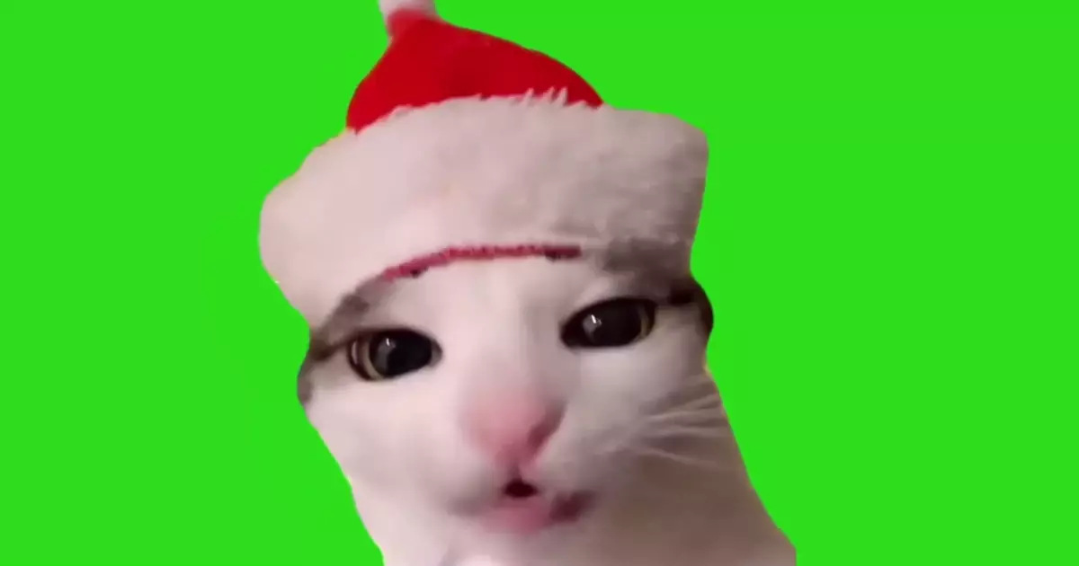 Cat Crunch Green Screen Meme Download Video