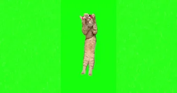 Cow Dance Vibing Meme Download | Video & Audio Meme Video