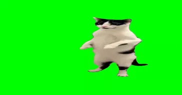 Cat Dance Meme Download | Video & Audio Meme Video