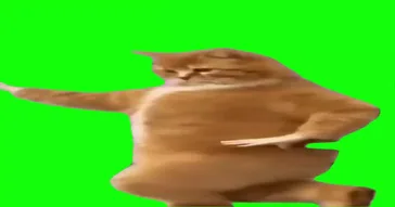 Cat Dancing Chippi Chippi Green Screen Meme Download Video