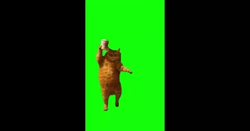 Cat Dancing Chippi Chippi Green Screen Meme Download Video