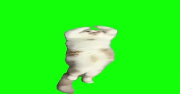 Cat Dancing Chippi Chippi Green Screen Meme Download Video