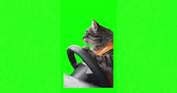 Cat Drinking Meme Download | Video & Audio Meme Video