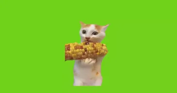 Mouse Eating Food Green Screen Meme Download | Video & Audio Meme Video