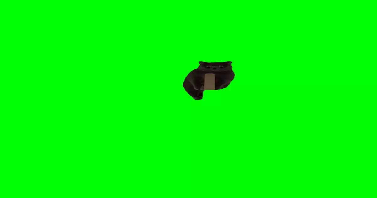 Cat Evil Stare Green Screen Meme Download Video
