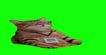 Falling Asleep Dog Falls Over Meme Download | Video & Audio Meme Video