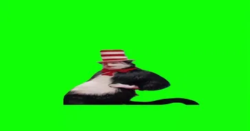 Cat In The Hat Blowin Bubbles Green Screen Video