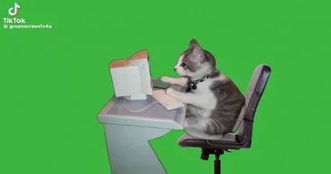 Breaking Computer Meme Download | Video & Audio Meme Video