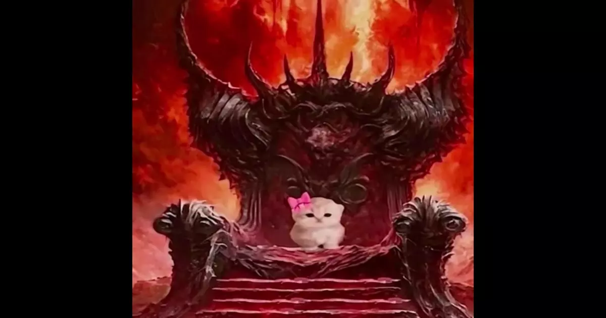 Cat King Chair Funny Meme Download Video
