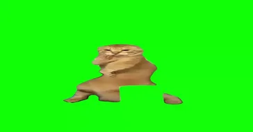 Kung Fu Cat Dancing Green Screen Meme Download | Video & Audio Meme Video