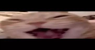 Dog Laughing Meme Download | Video & Audio Meme Video