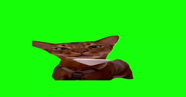 Cat Licking Icecream Meme Download | Video & Audio Meme Video