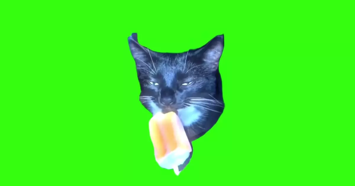 Cat Licking Ice Cream Meme Download Video