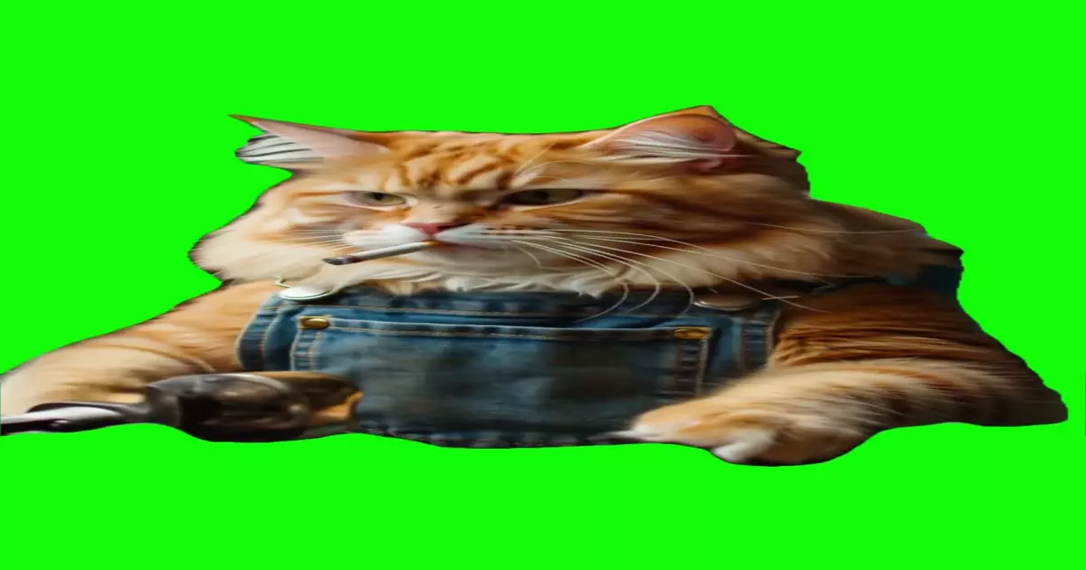Cat Mechanic Green Screen Meme Download Video