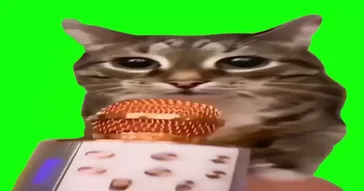 Cat Singing In Shower Green Screen Meme Download | Video & Audio Meme Video