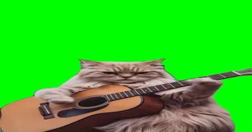 Cat Playing Sax Green Screen Meme Download | Video & Audio Meme Video