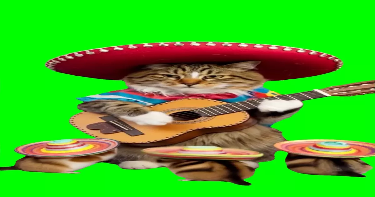 Cat Playing Guitar Green Screen Meme Download Video