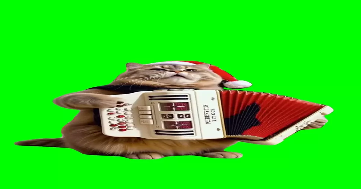 Cat Playing Jingle Bells Meme Download Video