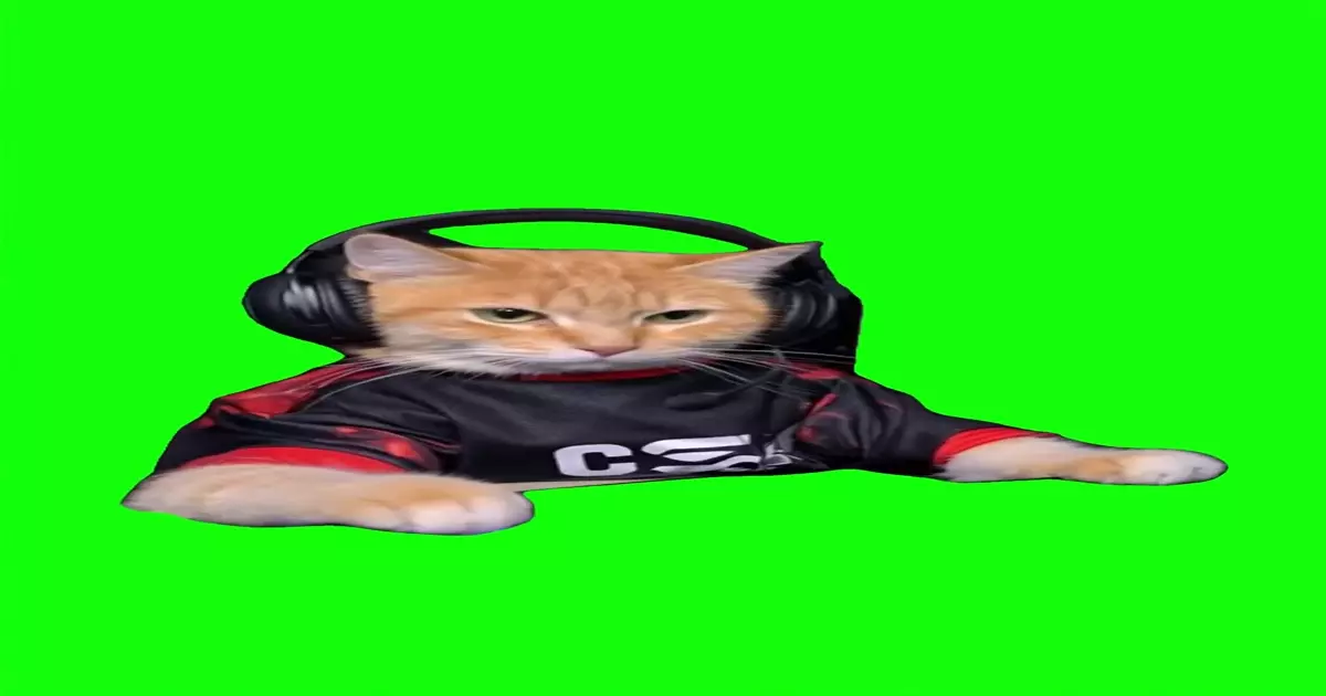 Cat Playing Video Game Green Screen Meme Download Video
