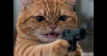 Cat Pointing Gun