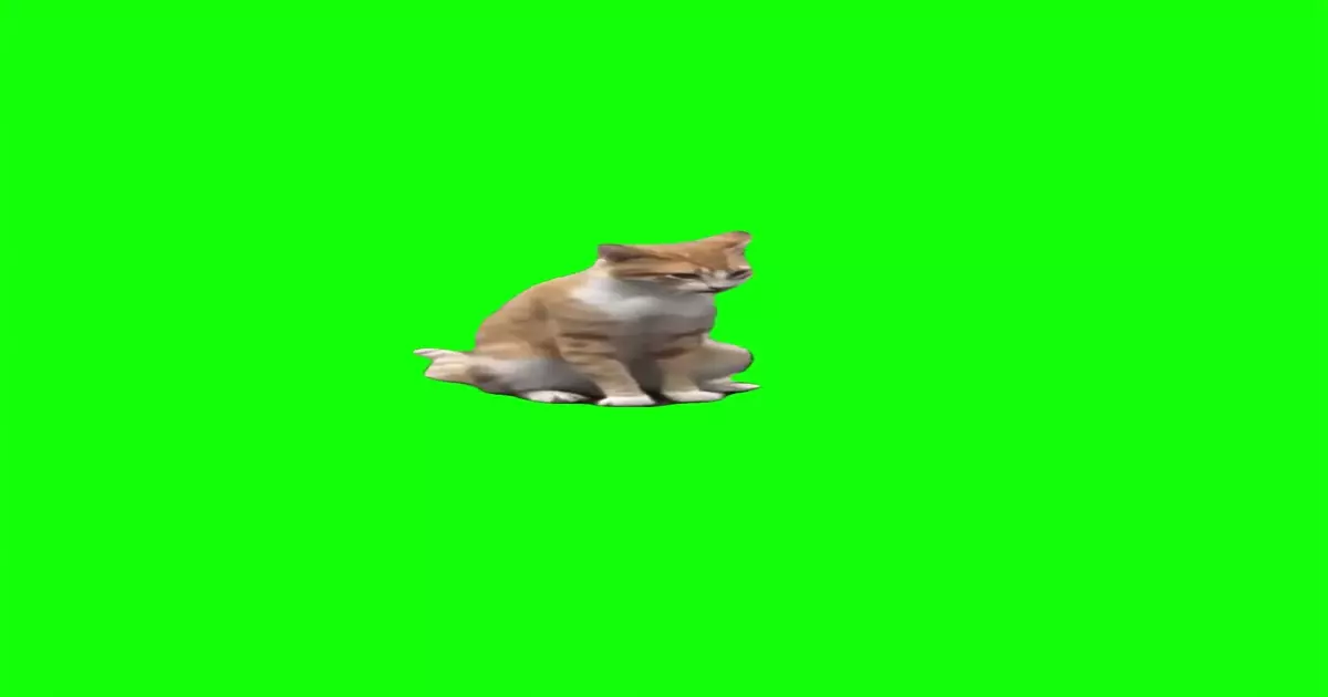 Cat Rah Rah Dance Green Screen Meme Download Video