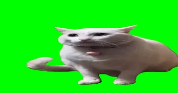 Cat Saying Huh Meme Download | Video & Audio Meme Video
