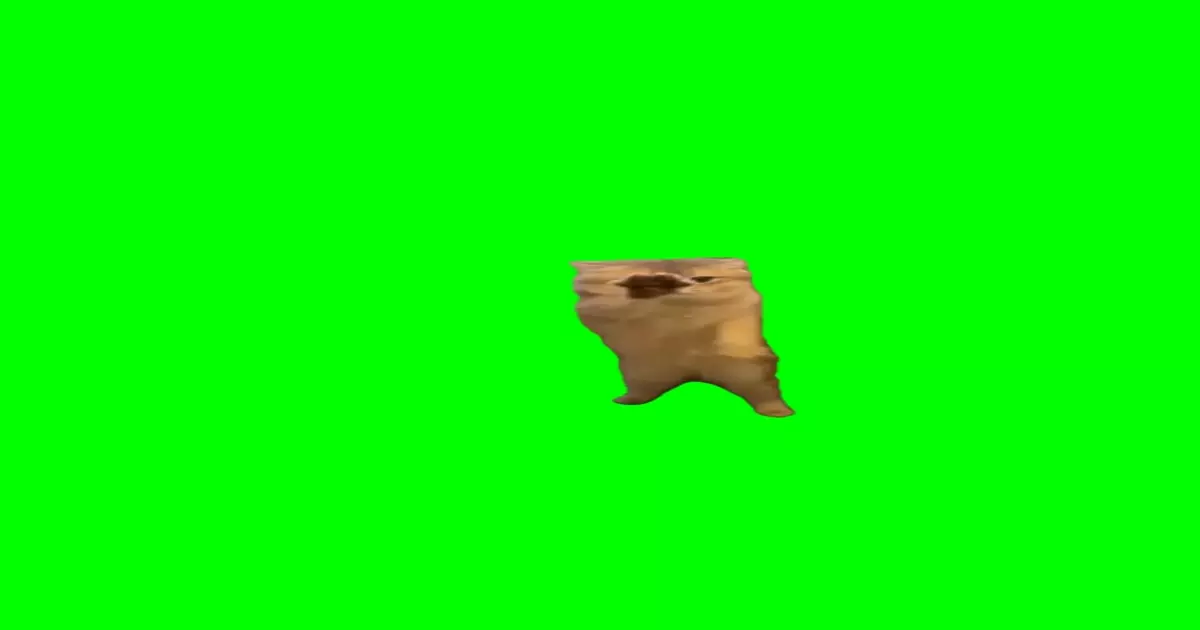Cat Scratching Meme Download | Video, Audio & Image