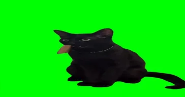 Girl Shocked Meme Download | Video & Audio Meme Video