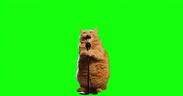 Cat Singing In Shower Green Screen Meme Download | Video & Audio Meme Video