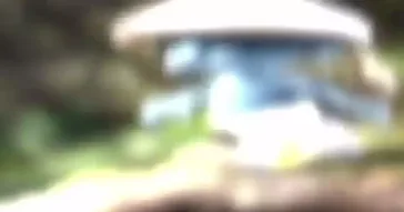 Smurf Cat Walking Meme Download | Video & Audio Meme Video