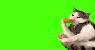 Cat Licking Green Screen Meme Download | Video & Audio Meme Video