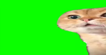 Cat Dancing Chippi Chippi Green Screen Meme Download Video