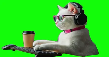 Cat Typing Meowmeow Green Screen Meme Download | Video & Audio Meme Video