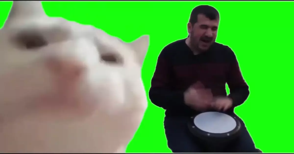 Cat Vibing Meme Download Video