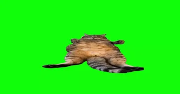 Cat Wiggling Tail Meme Download | Video & Audio Meme Video