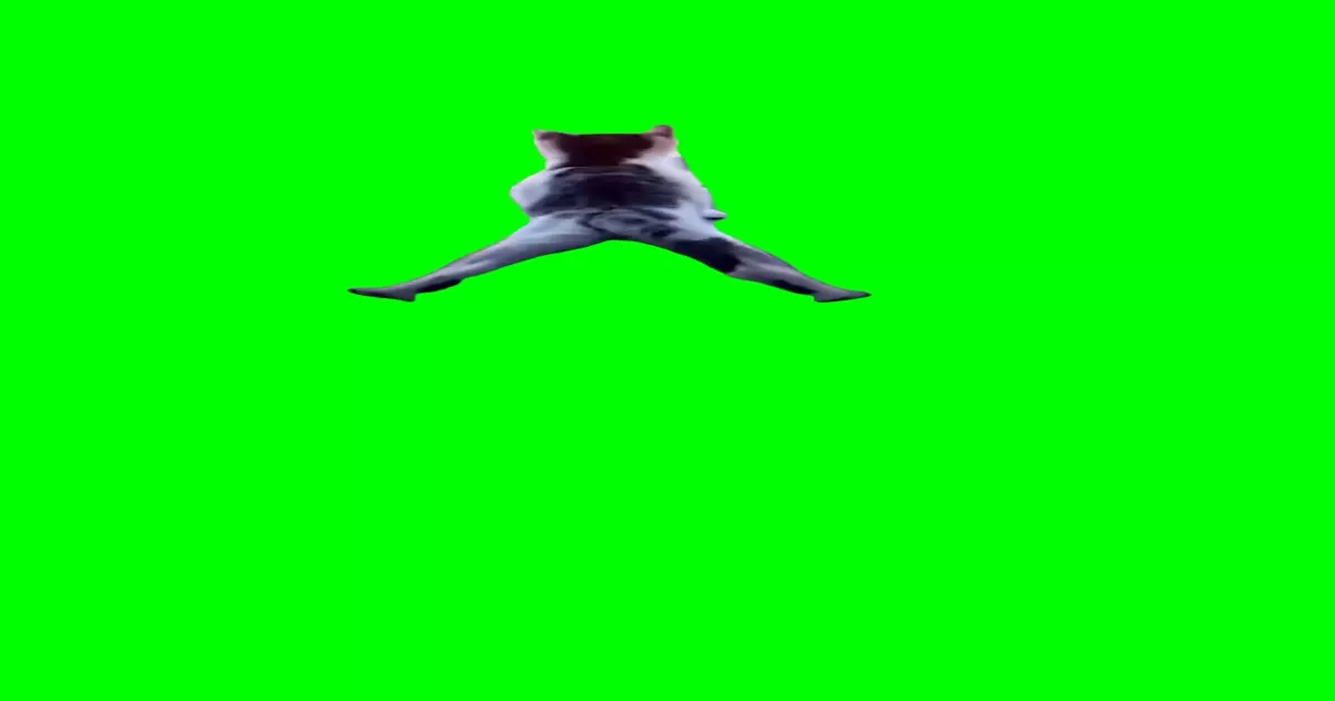 Cat Wiggling Tail Meme Download Video