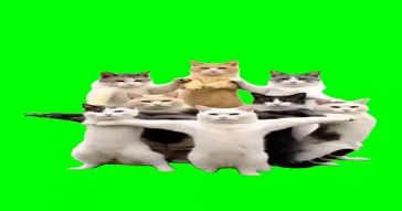 Cats Dancing Ramadan Meme Video