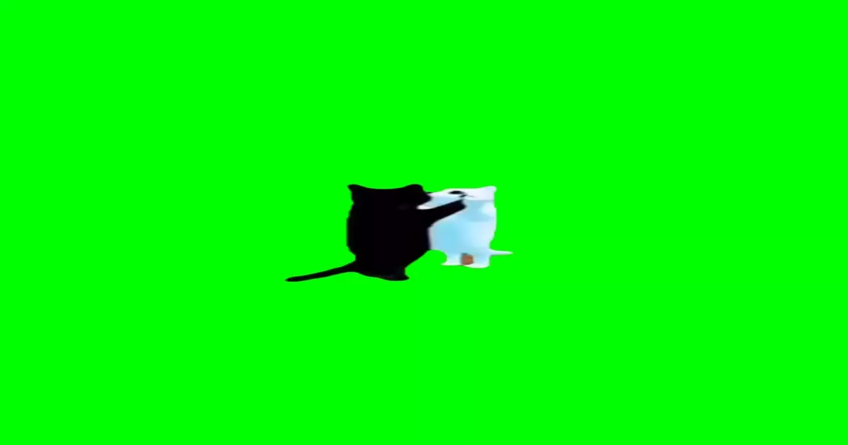 Cats Dancing To Round N Round Squid Game 2 Meme Download Video
