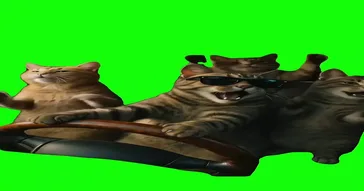 Cats Karaoke In The Car Green Screen Meme Video