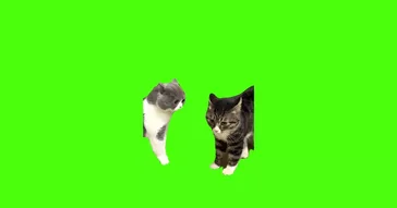 Mouse Talking To A Cat Green Screen Meme Download | Video & Audio Meme Video