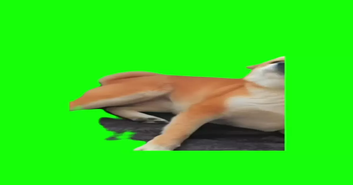 Cheesy Smile Doggy Meme Download Video