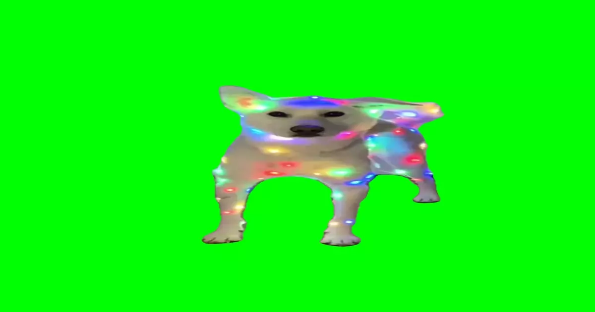 Christmas Dog Meme Download Video