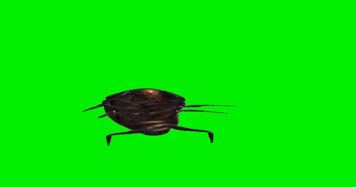 Cockroach Dancing Green Screen Meme Download Video