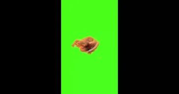 Sprunki Italian Brainrot Cappuccino Assassino Green Screen Meme Download Video