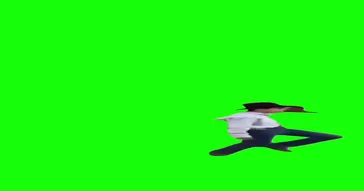 Country Boy Dance Meme Video