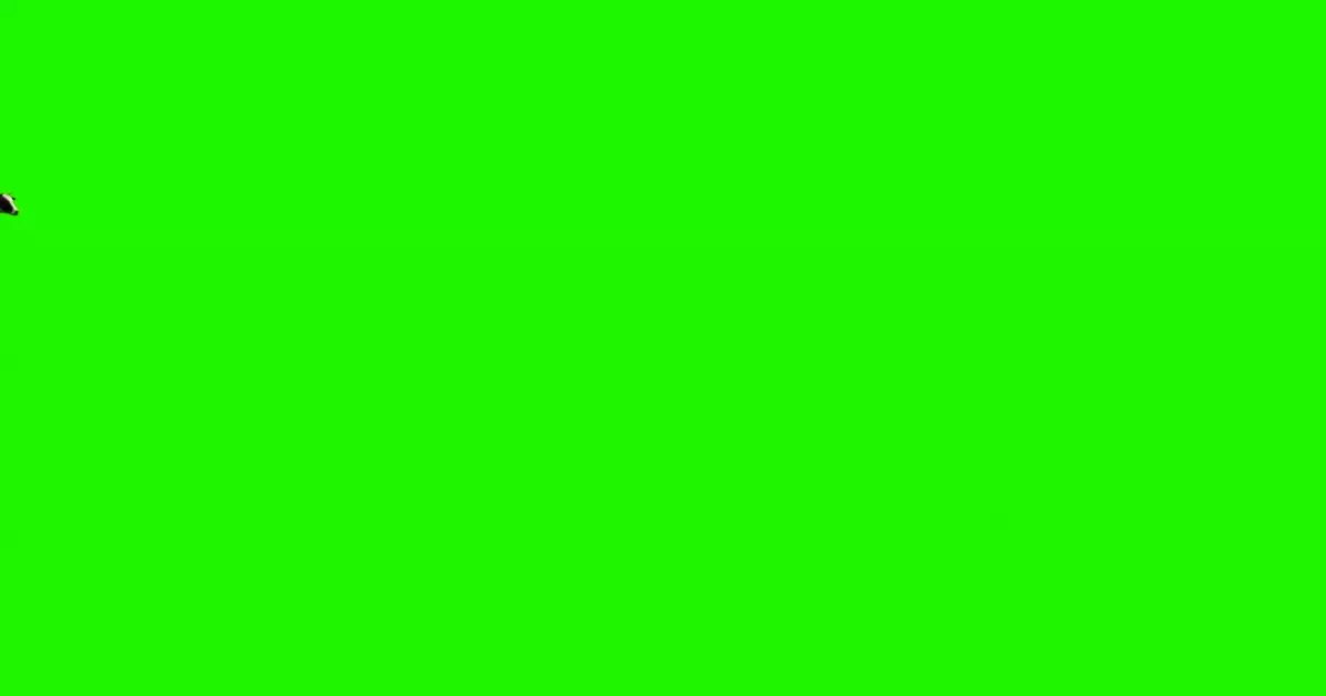 Cow Stampede Green Screen Meme Download Video