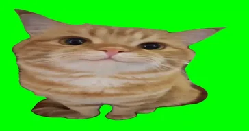Cat Staring Down A Cat Green Screen Meme Download | Video & Audio Meme Video
