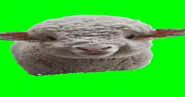 Sheep Dancing Meme Download | Video & Audio Meme Video